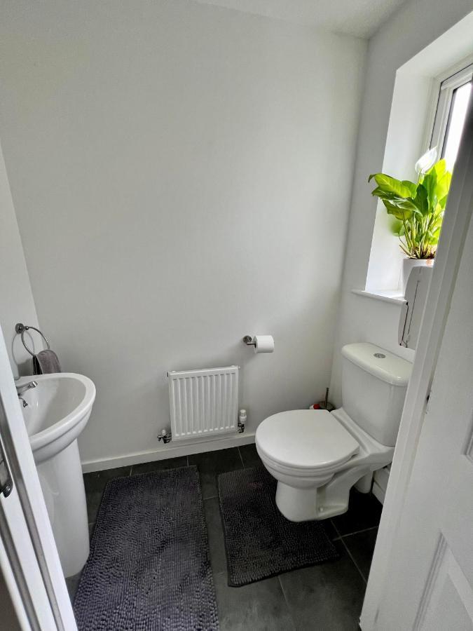 North Colchester Homestay Mile End Eksteriør billede